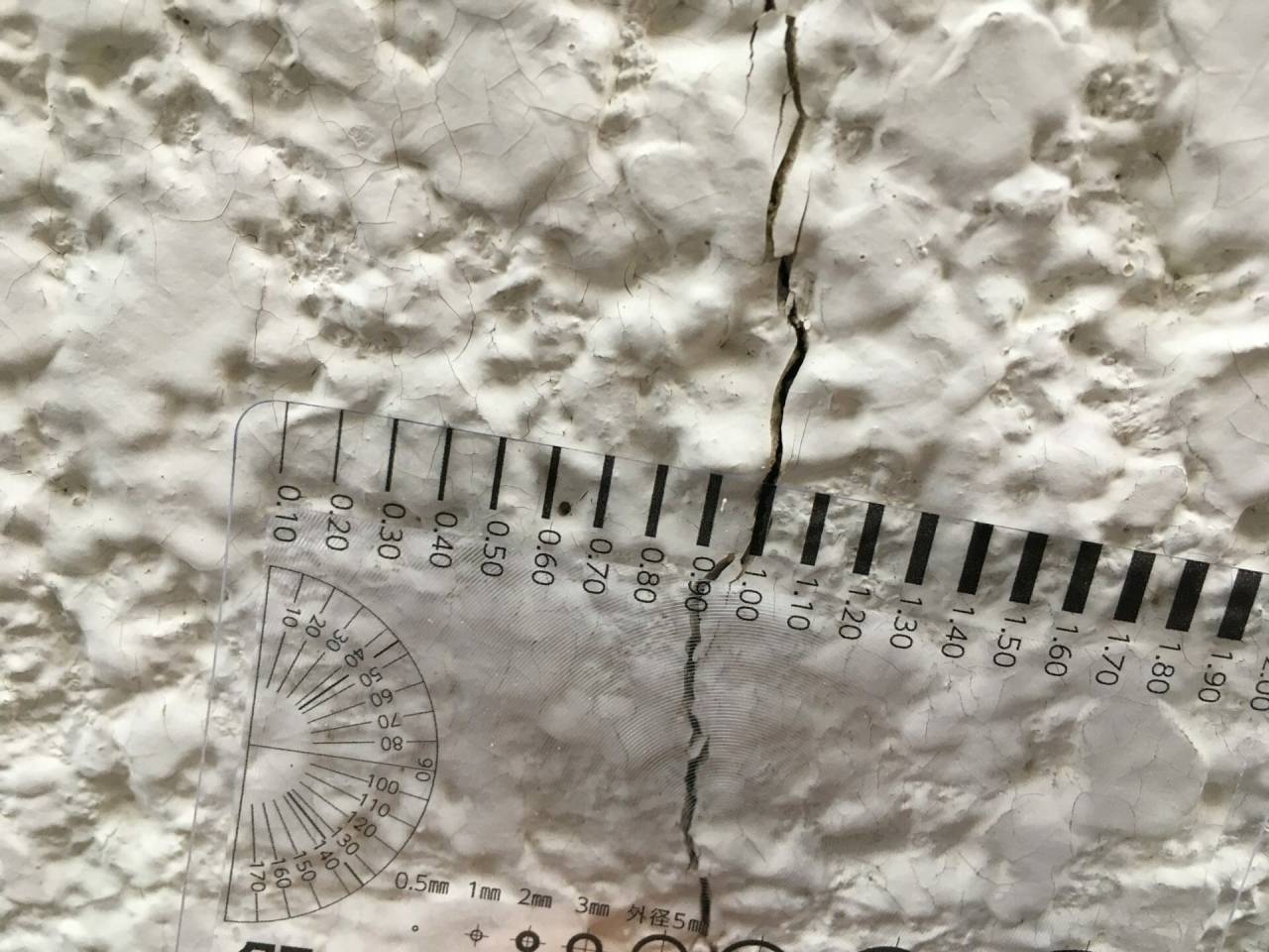 20250430195342.jpg