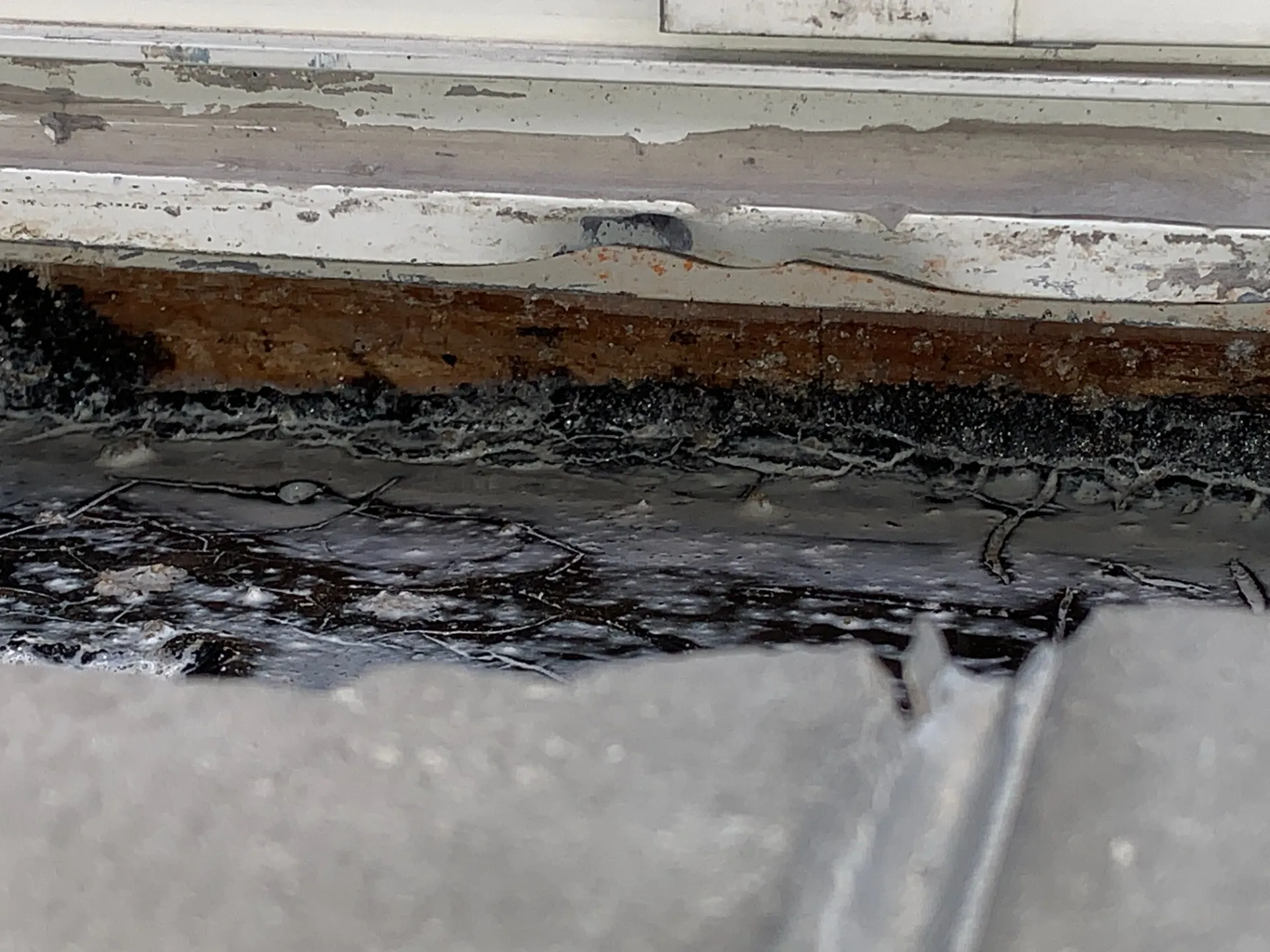 バルコニーサッシ下の防水欠損　下地のベニヤが見えています