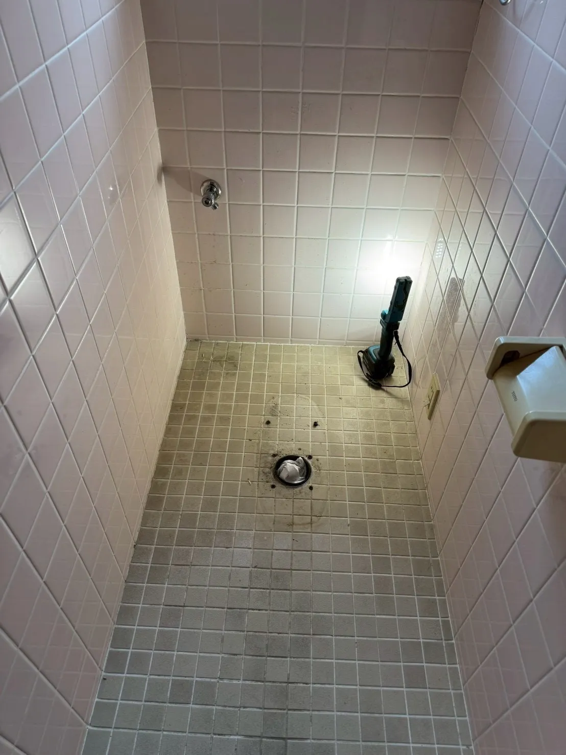 M様邸 既存トイレ 内装タイル床の状態