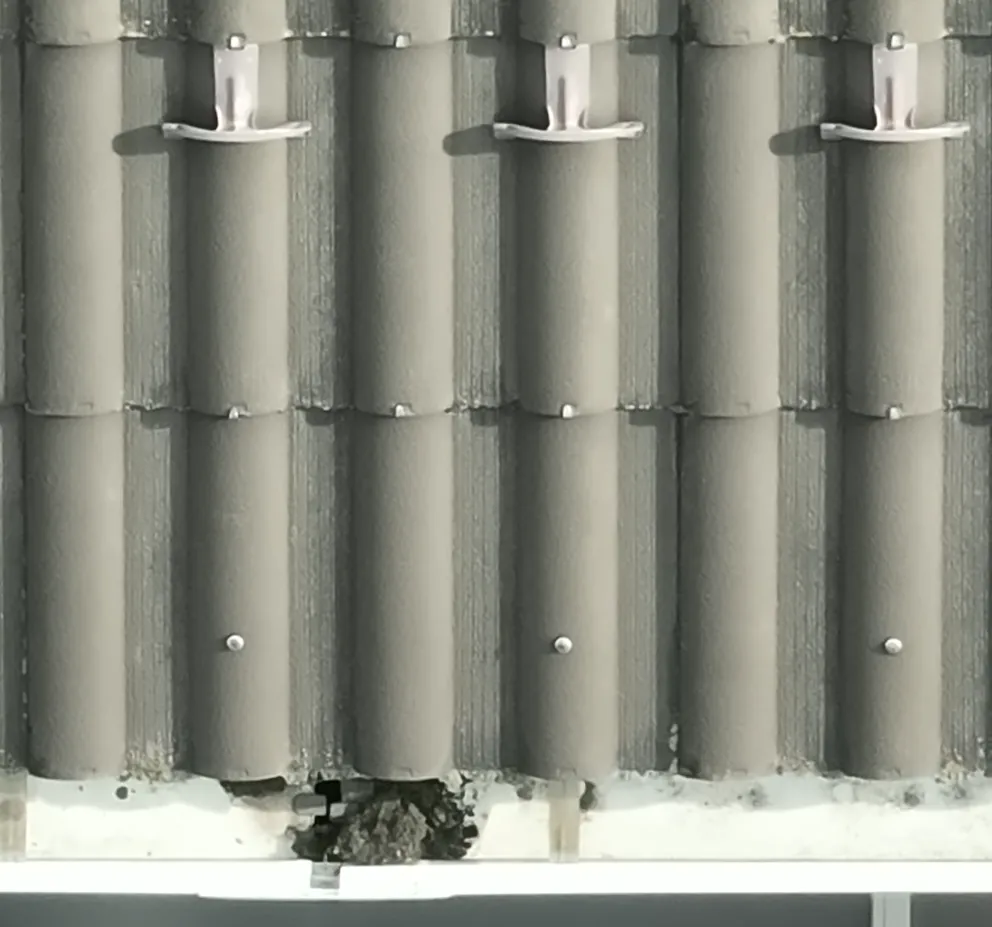 雨樋洗浄前の様子