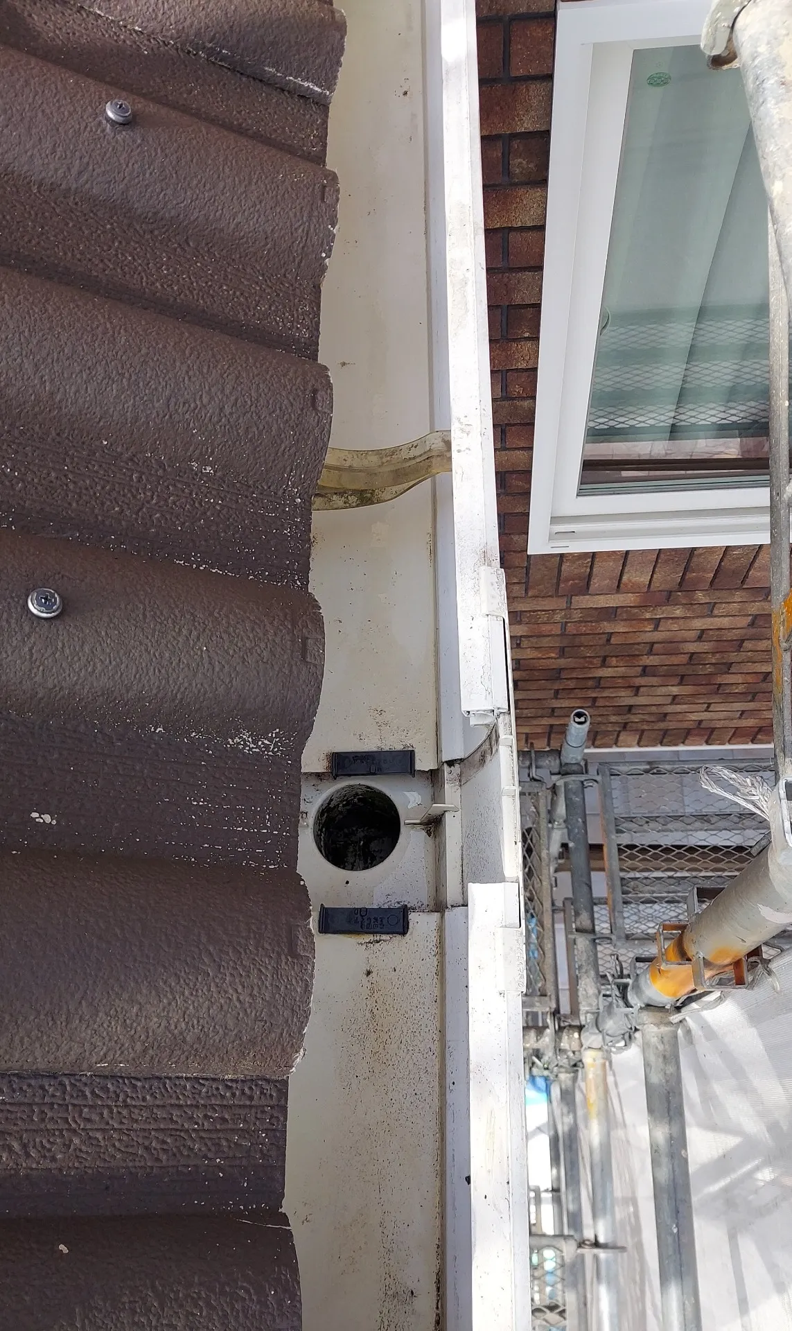 雨樋洗浄後の様子