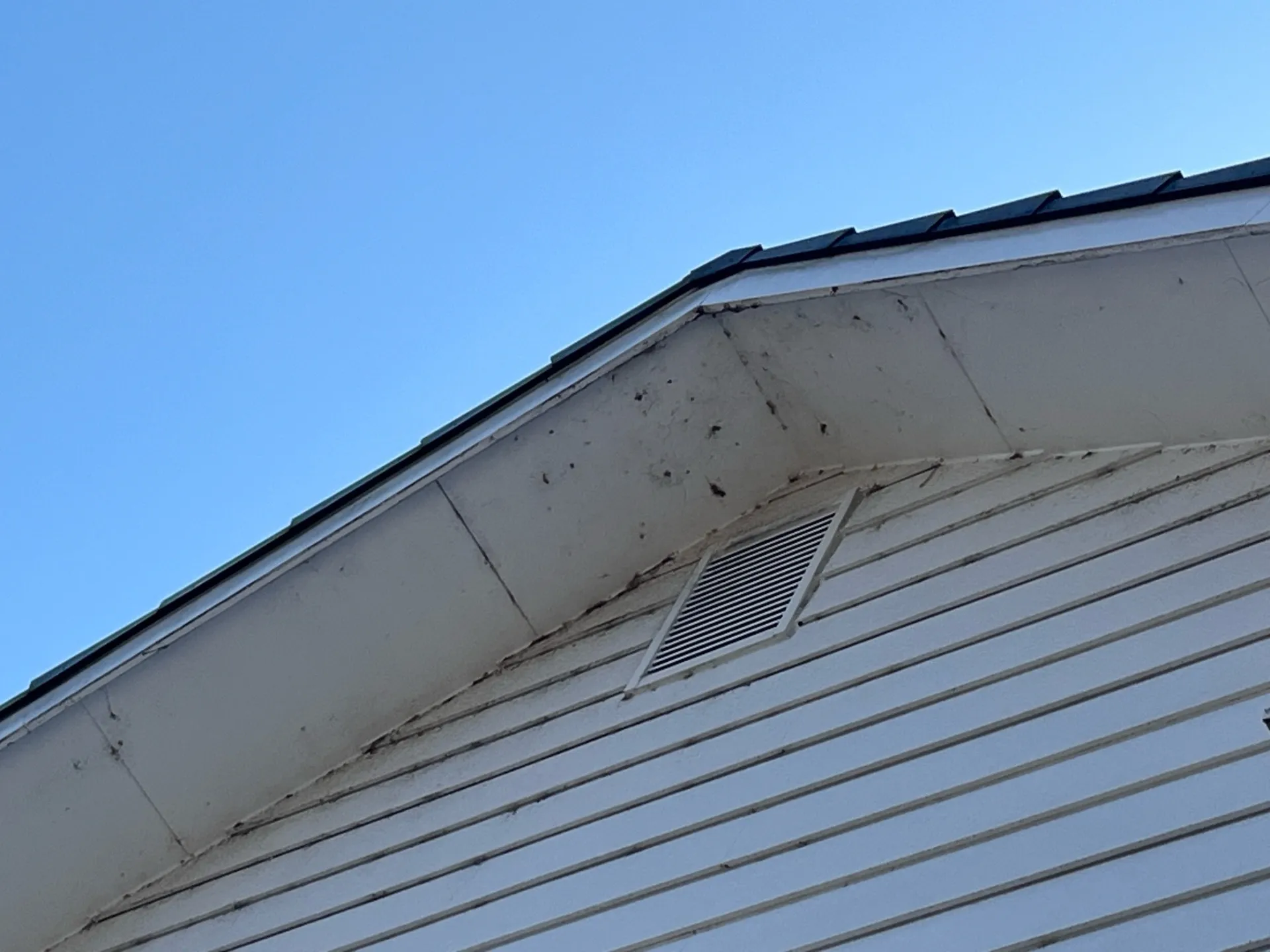 軒天の汚れの様子