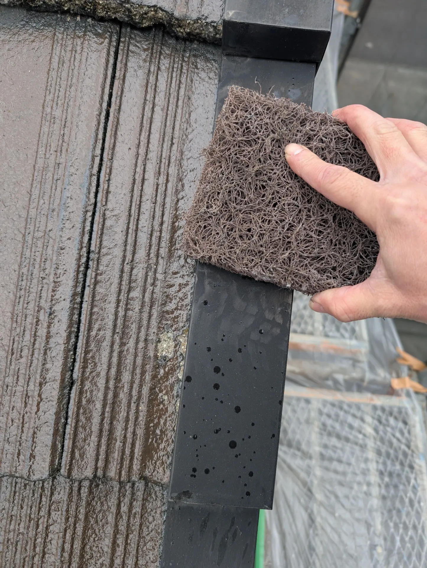 洗浄作業の様子