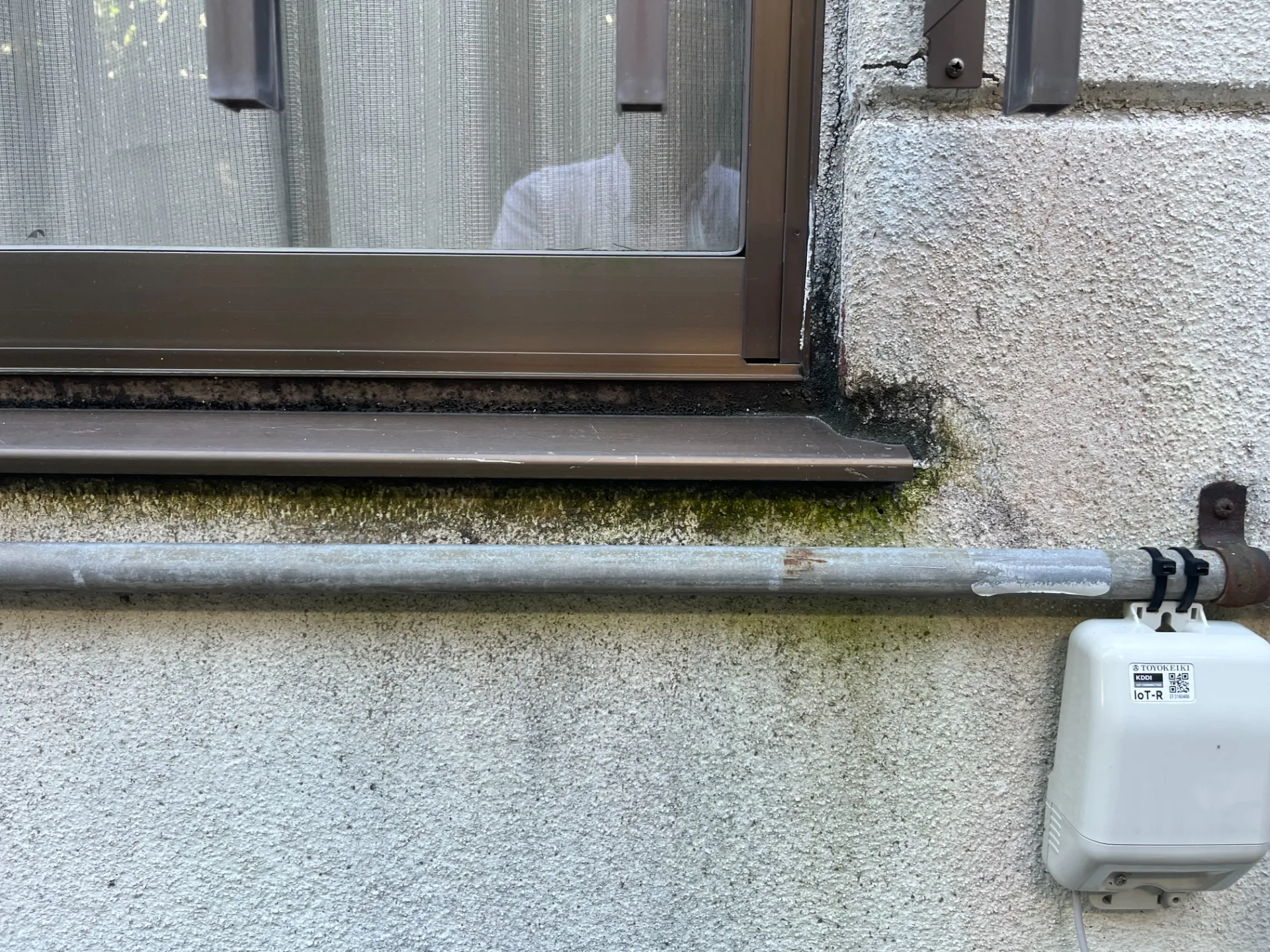 窓まわりのカビや汚れの様子