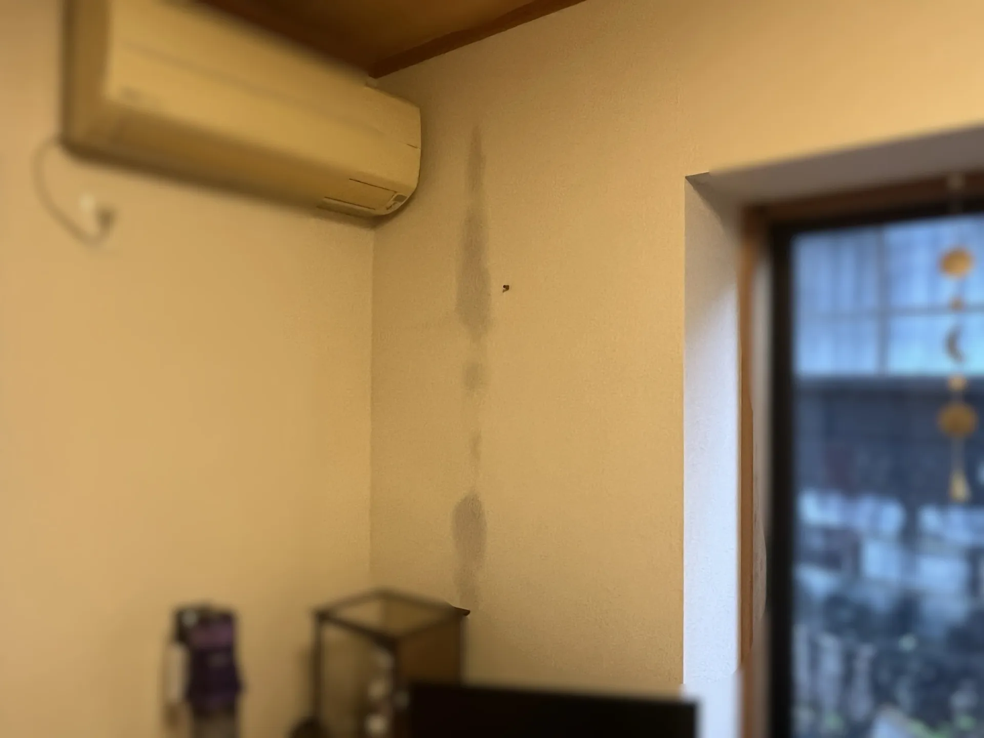 室内に見られた雨染みの様子